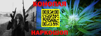 прущие грибы Новодвинск