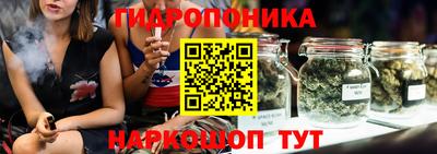 прущие грибы Новодвинск